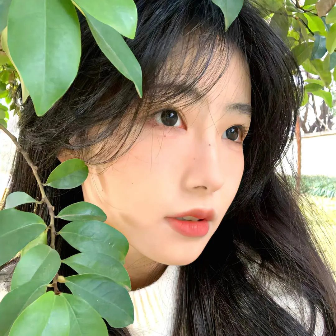阴影之下
